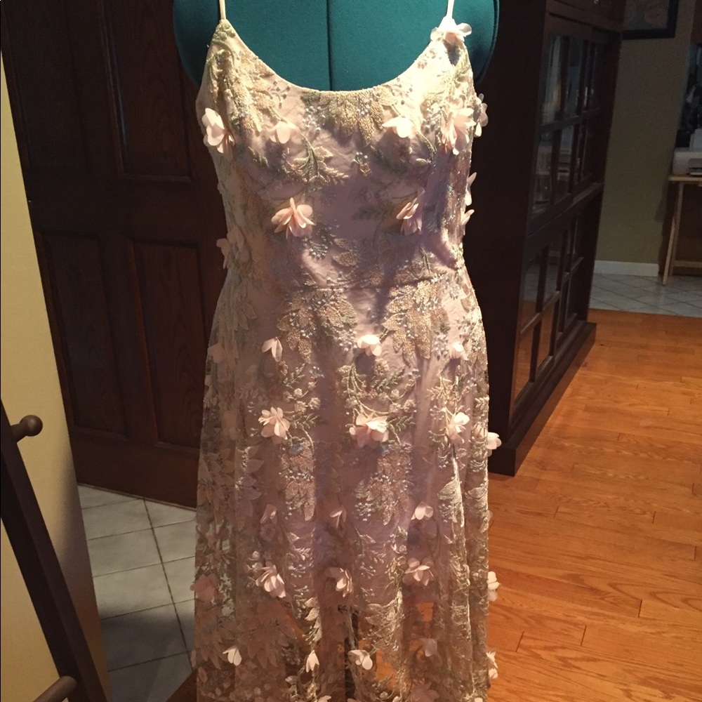 NWT Dress the population dress